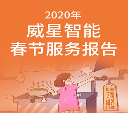 2020年新宝gg智能春节服务报告