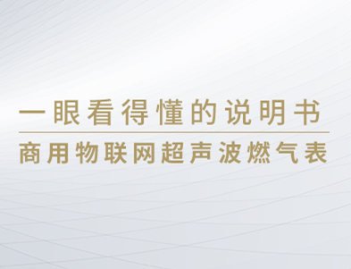 一眼看得懂系列 | 商用物联网超声波燃气表产品说明书